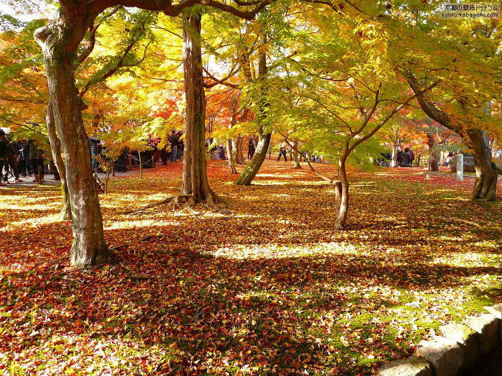 �������ǎ�29 �����̍g�t